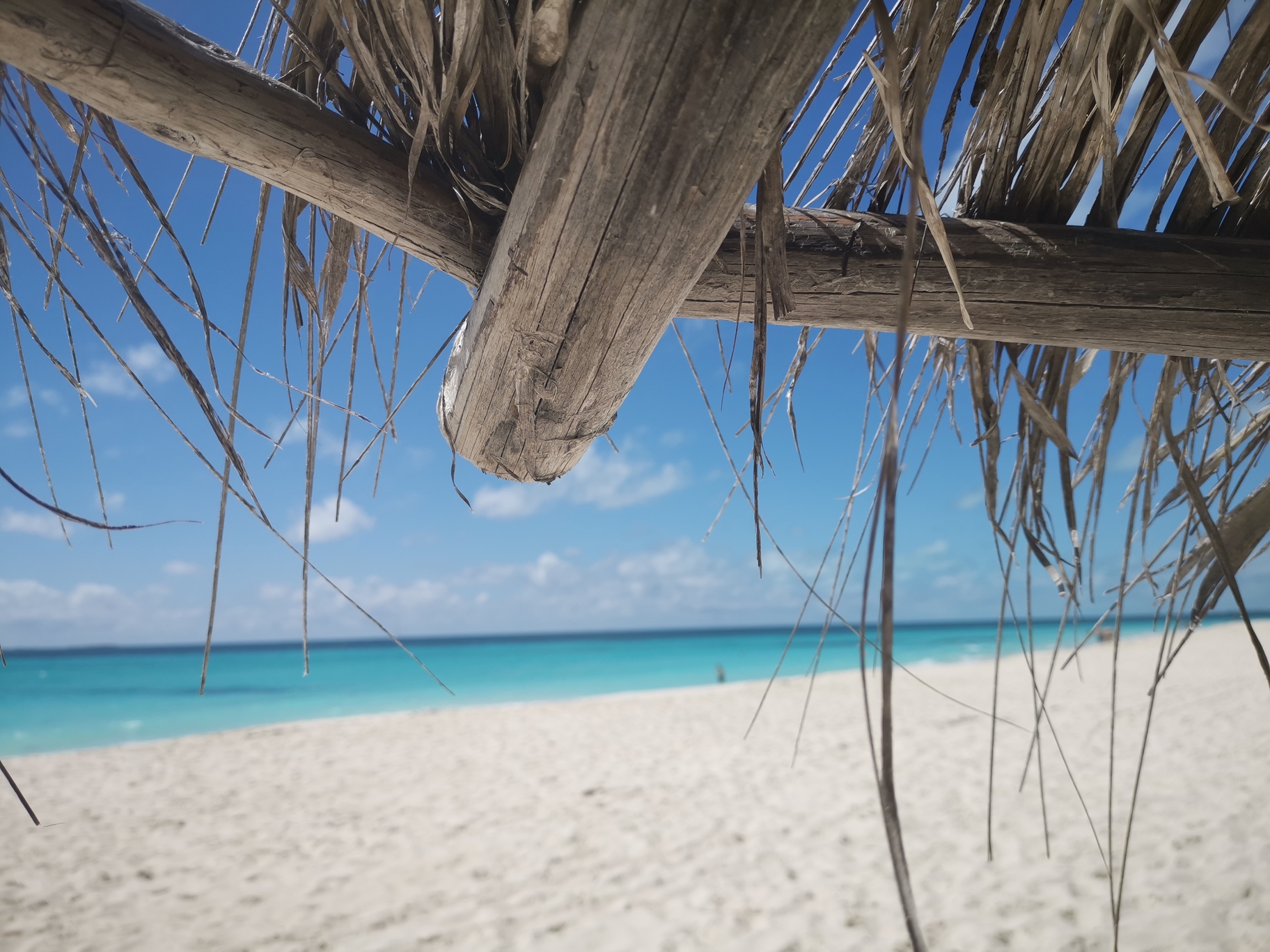 Beach seen from under a palapa