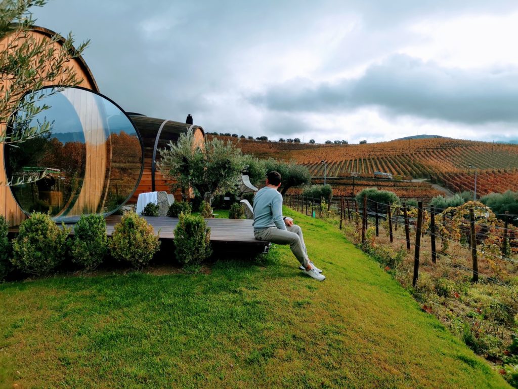 Douro vineyards