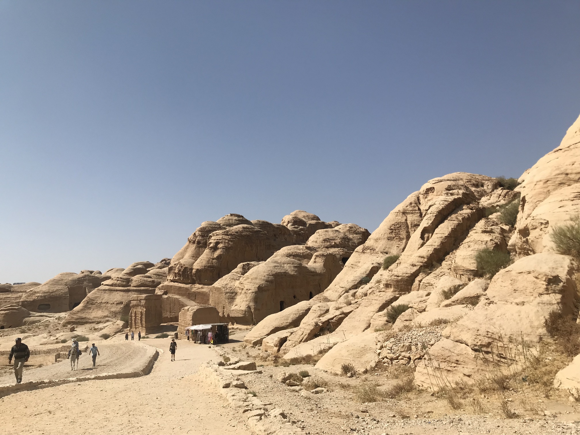 Petra & Wadi Rum