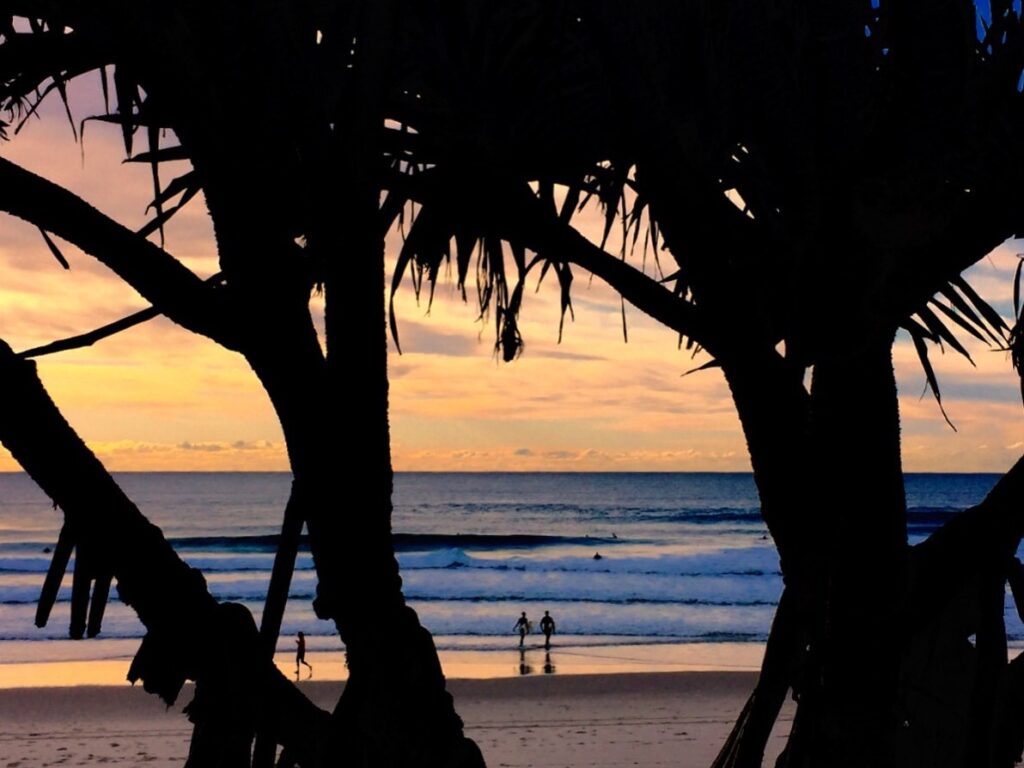 Sunset under the palms